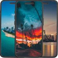Miami Wallpapers